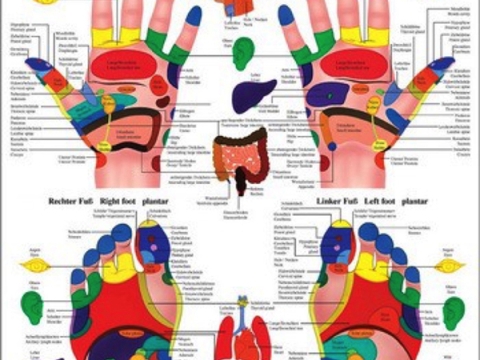 Hand und Fuß
