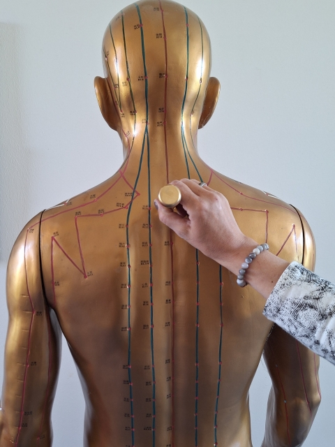 Die vergessene Nadel. Geschichte, Wiederentdeckung und moderne Praxis der Pestle Needle Therapie