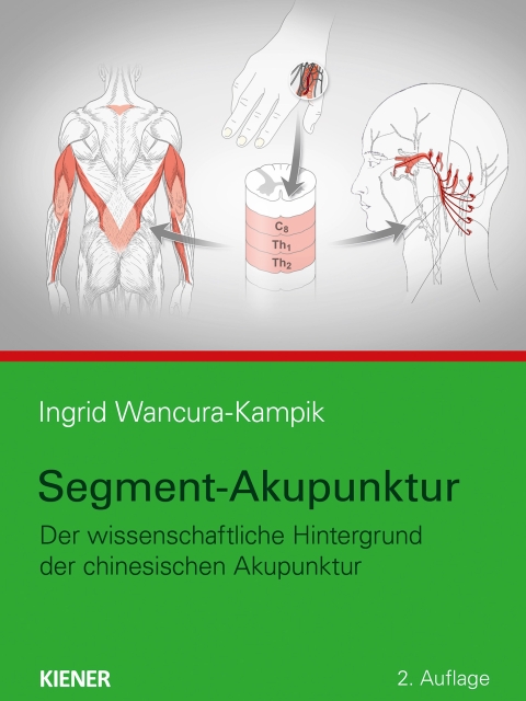 Segment-Akupunktur