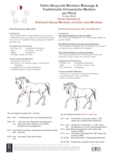 Feuer Element 2. Kreislauf-Sexus und San Jiao MeridianAMM und TCM am Pferd