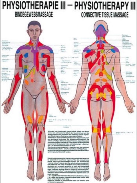 Mini-Poster - Physiotherapie 3 - Bindegewebsmassage