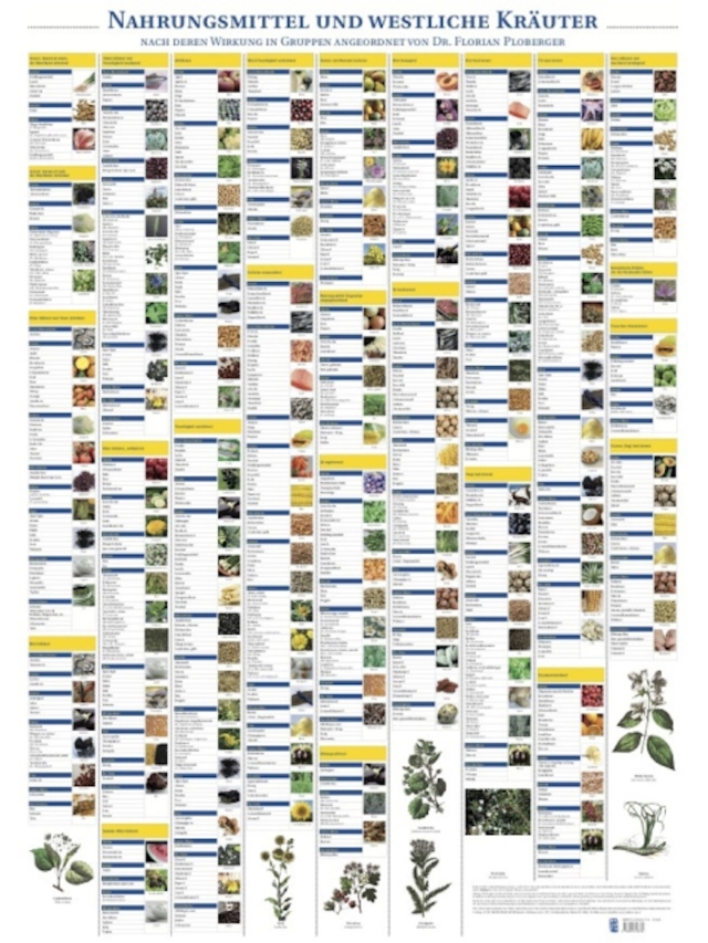 Plakat Nahrungsmittel und Westliche Kräuter mit 224 Abbildungen, ca. 70 x 100 cm inkl. Postklemmschiene und zwei Hängern