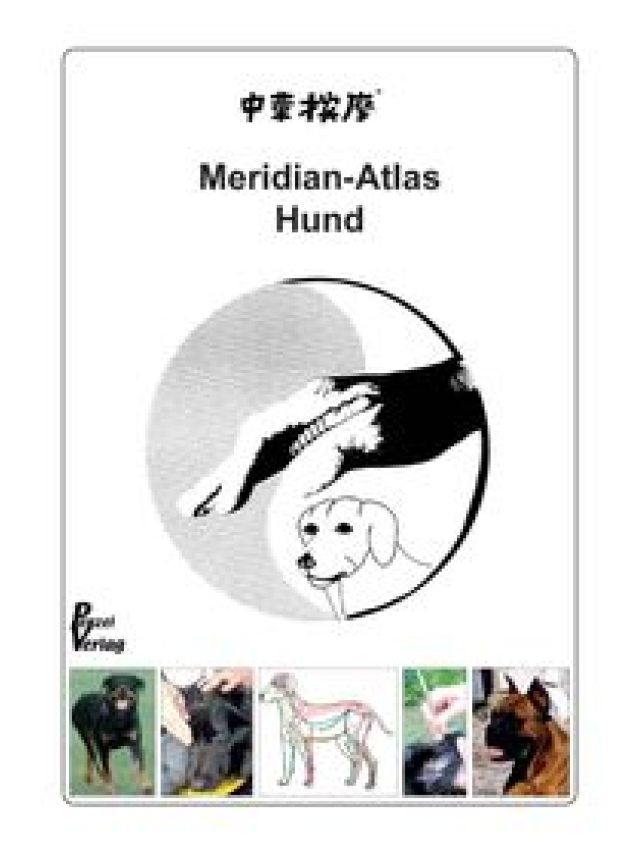 Akupunkt-Massage nach Penzel am Hund