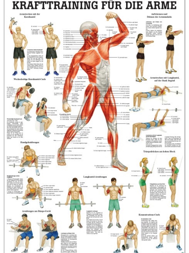 Krafttraining für die Arme, 24x34 cm