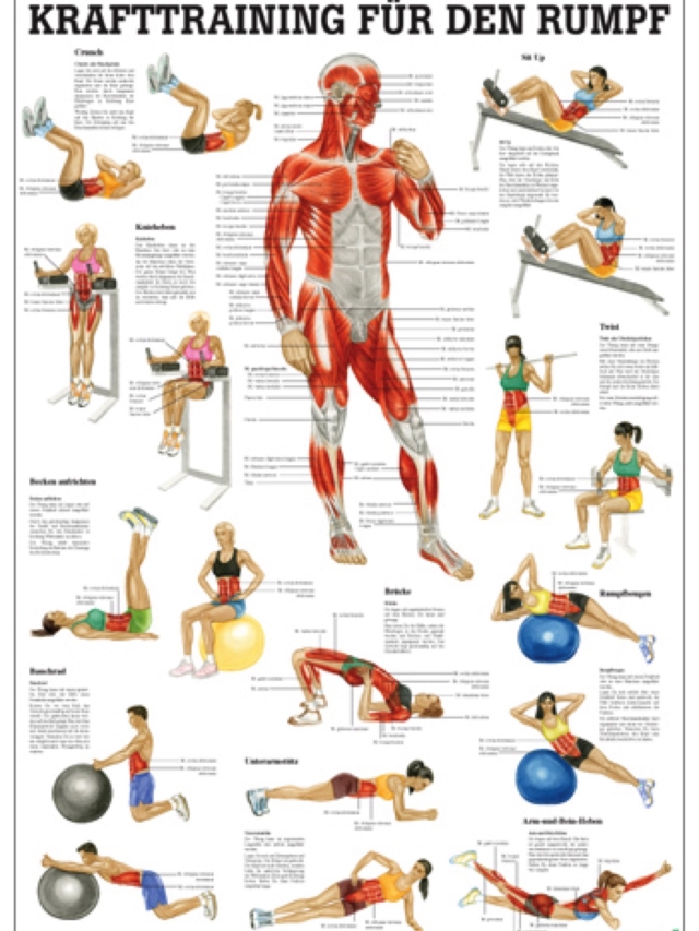 Krafttraining für den Rumpf, 70x100cm, laminiert